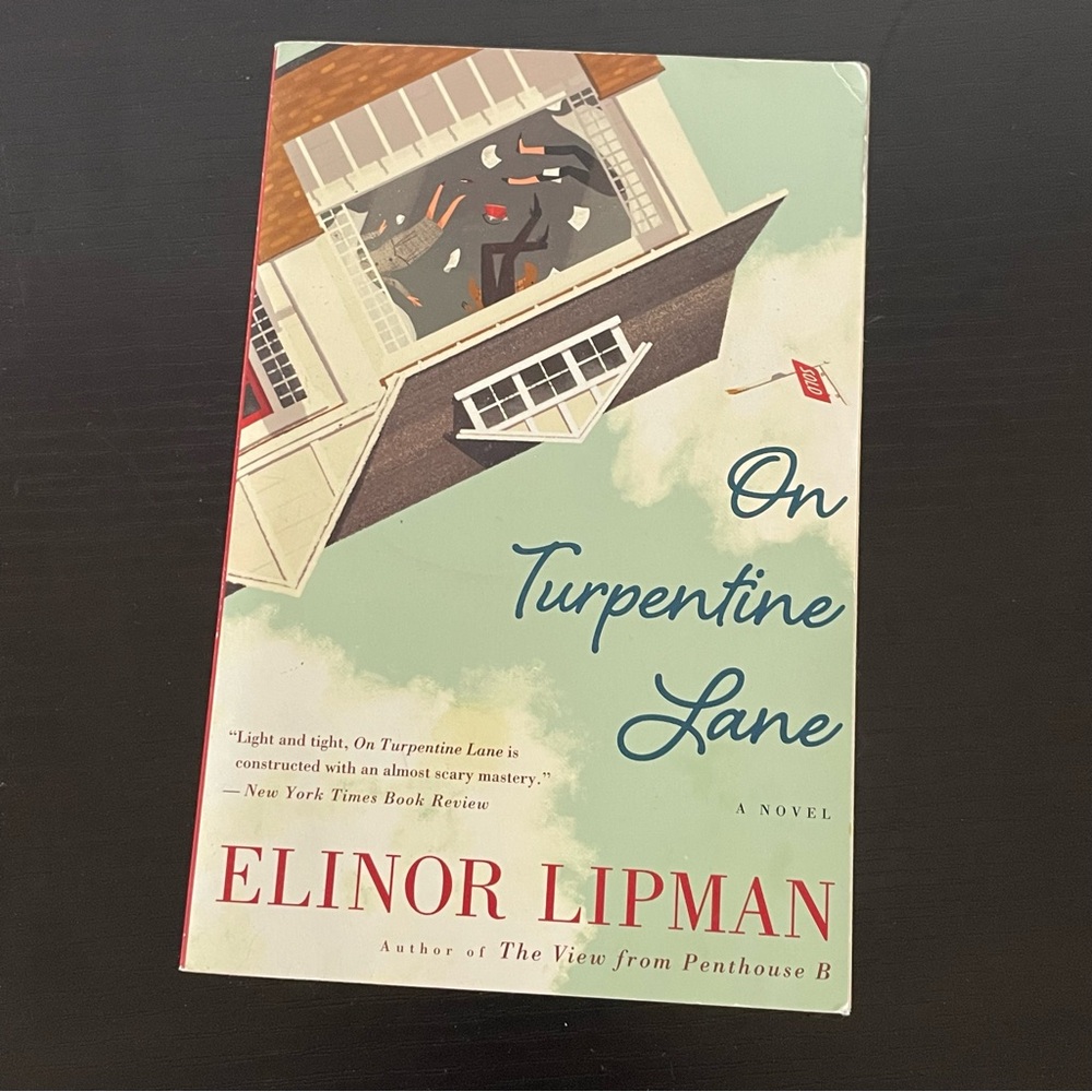 $10 SALE On Turpentine Lane Paperback Fiction Book Elinor Lipman Adult Novel